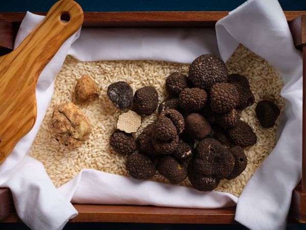 Close-up of a Truffle Selection served in the restaurant at The Capital Hotel London