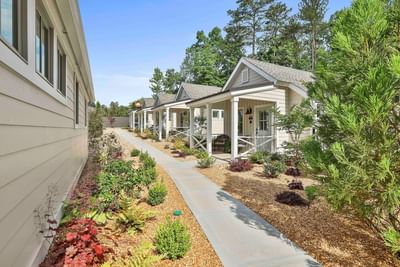 Sunny walkway lined with shrubs leads to charming modern cottages nestled among trees by Cottages at Laurel Brooke