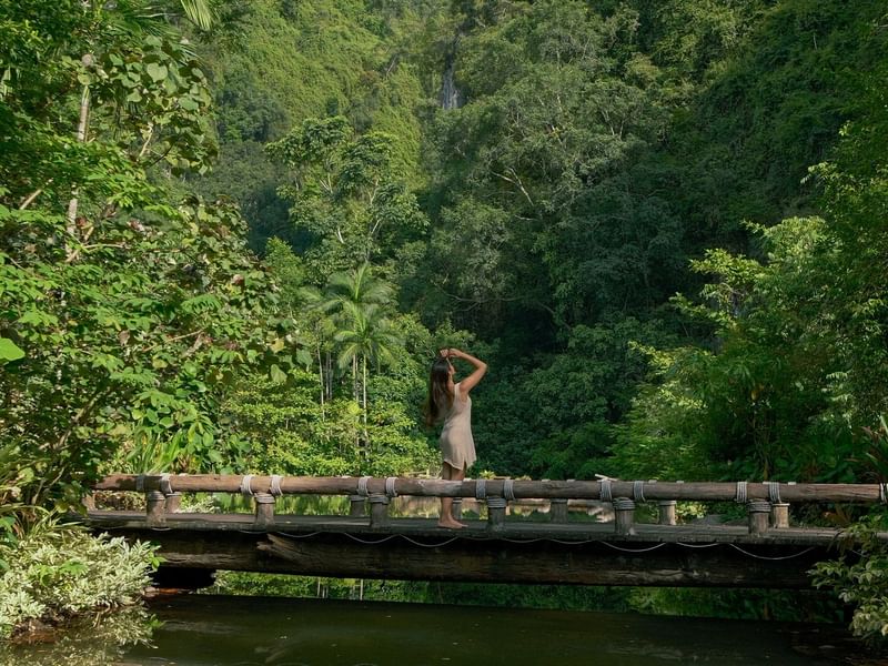 Women standing on a wooden bridge surrounded by lush tropical rainforest and calm water below promoting advance purchase promo