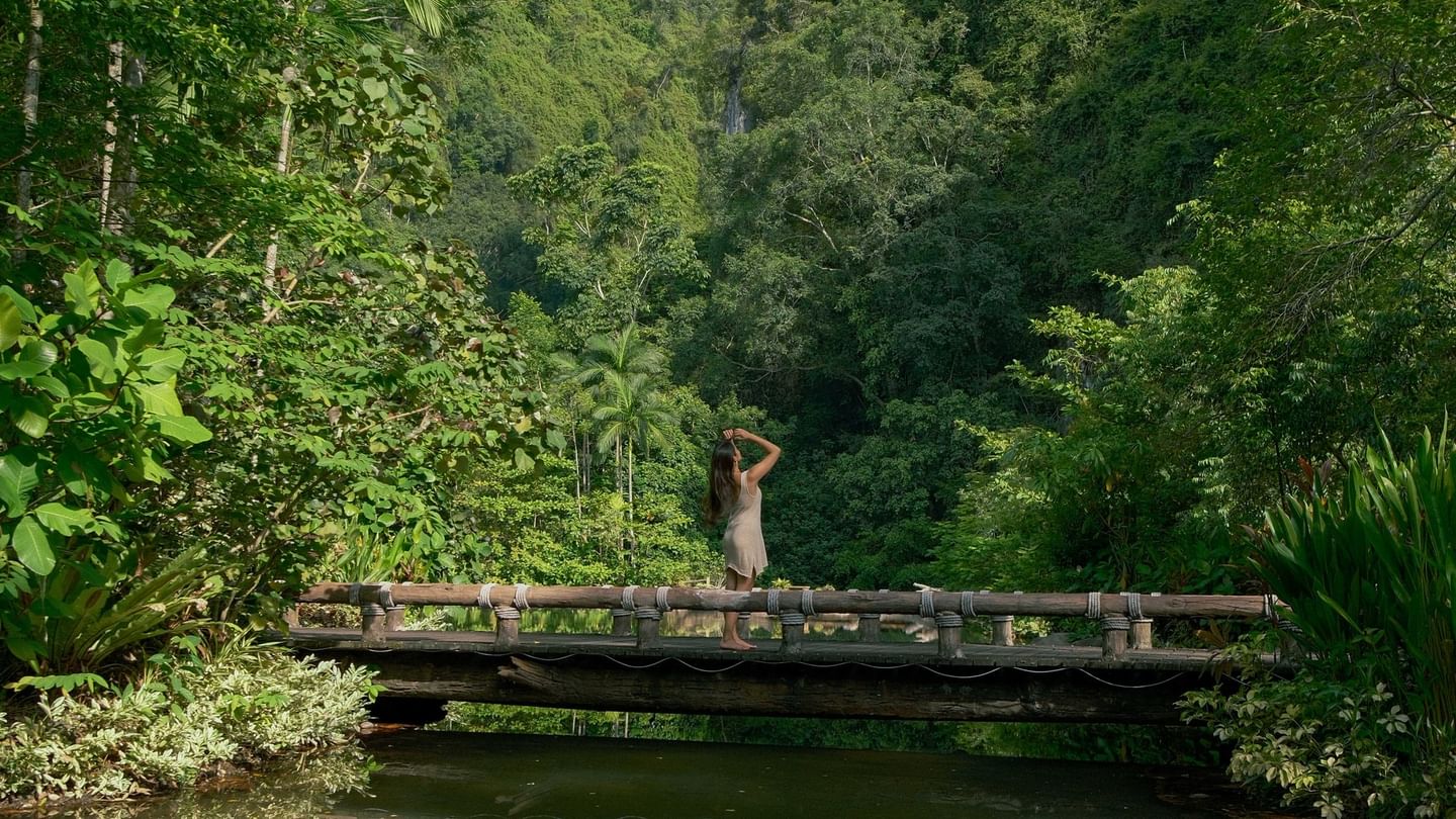 Women standing on a wooden bridge surrounded by lush tropical rainforest and calm water below promoting advance purchase promo