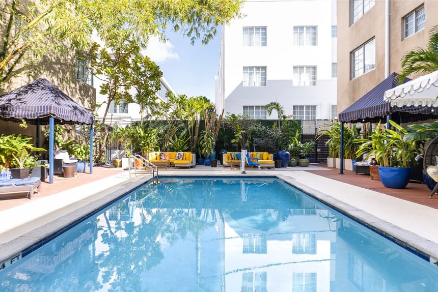 Outdoor pool surrounded by striped umbrellas, yellow and blue seating, and tropical plants at Riviera Hotel South Beach