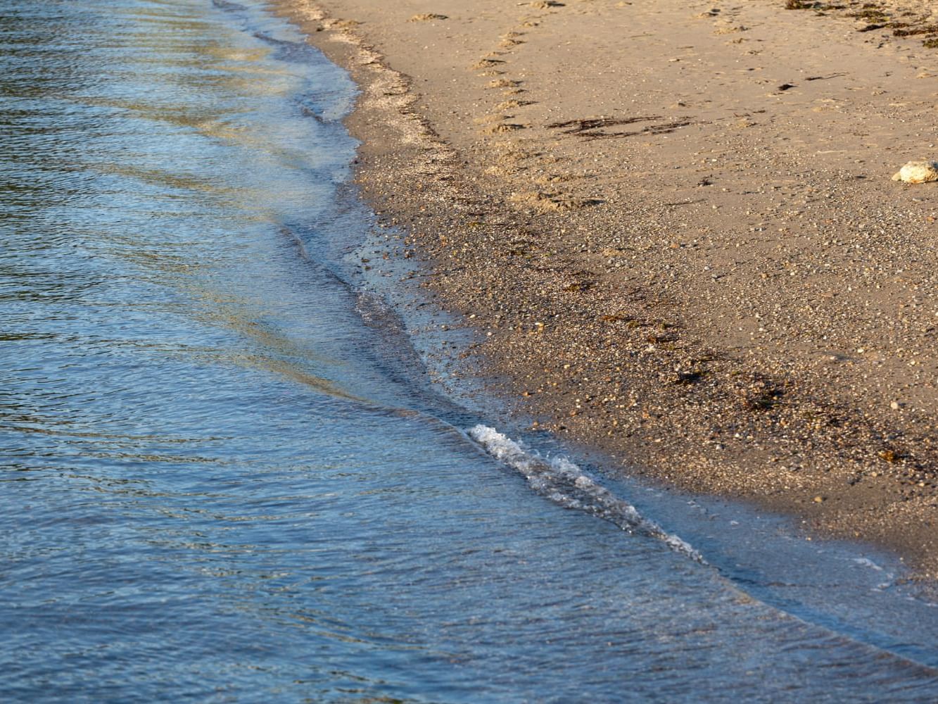 Sea waves on a beach in Sandy Cove Beach near Ogunquit Collection