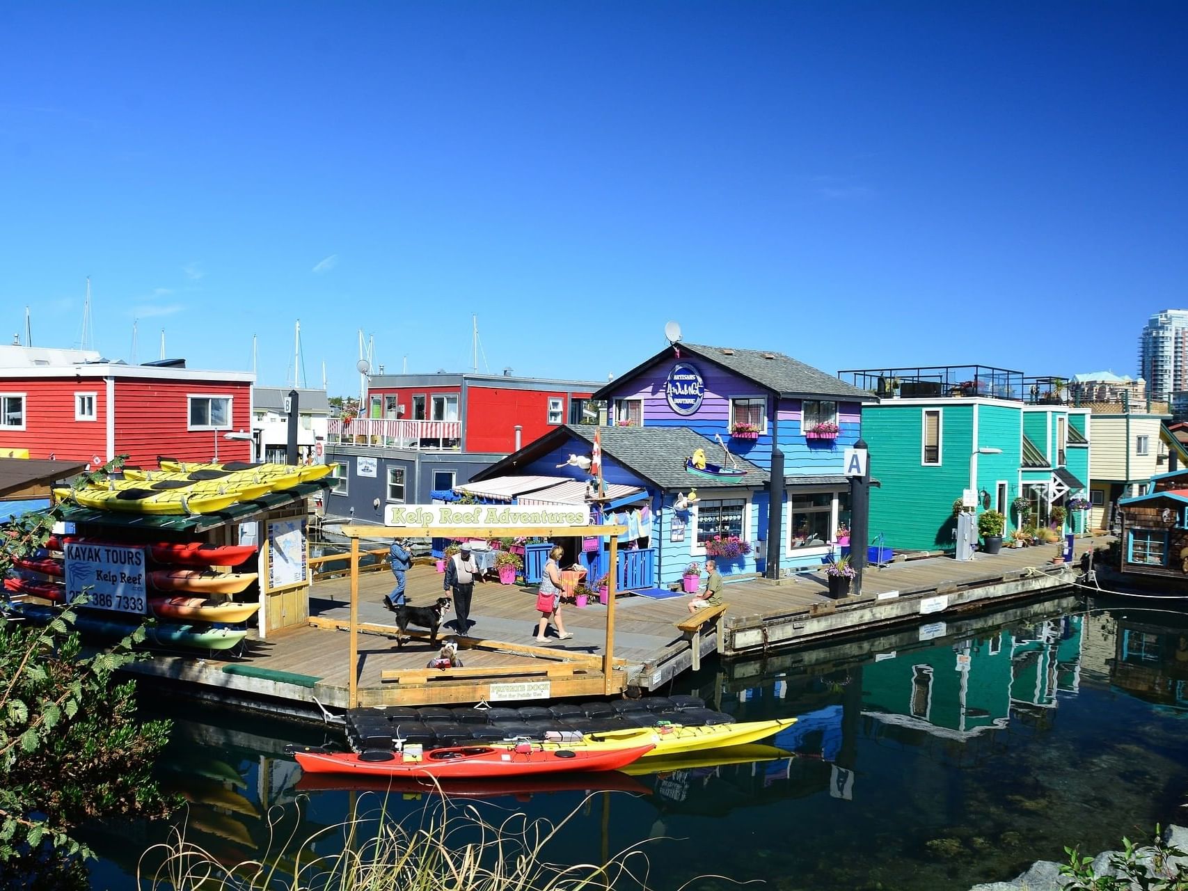 Things to Do in Victoria, BC  Coast Victoria Hotel & Marina by APA