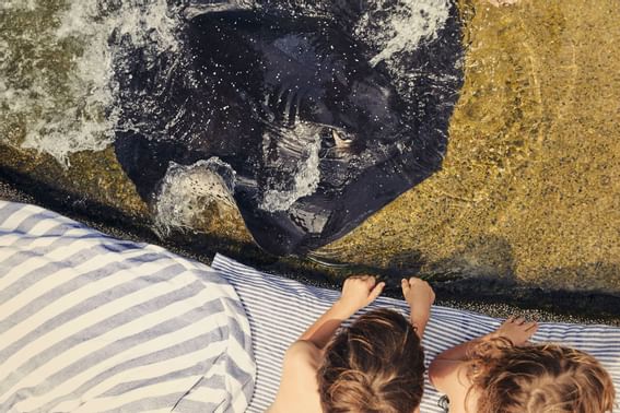 Kids enjoying seeing a fish at Daydream Island