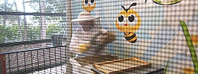 Person interacting with bees in The Ginger Factory near Novotel Sunshine Coast Resort