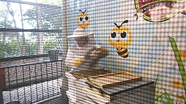 Person interacting with bees in The Ginger Factory near Novotel Sunshine Coast Resort