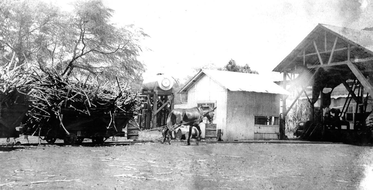 Waimea Sugar Mill