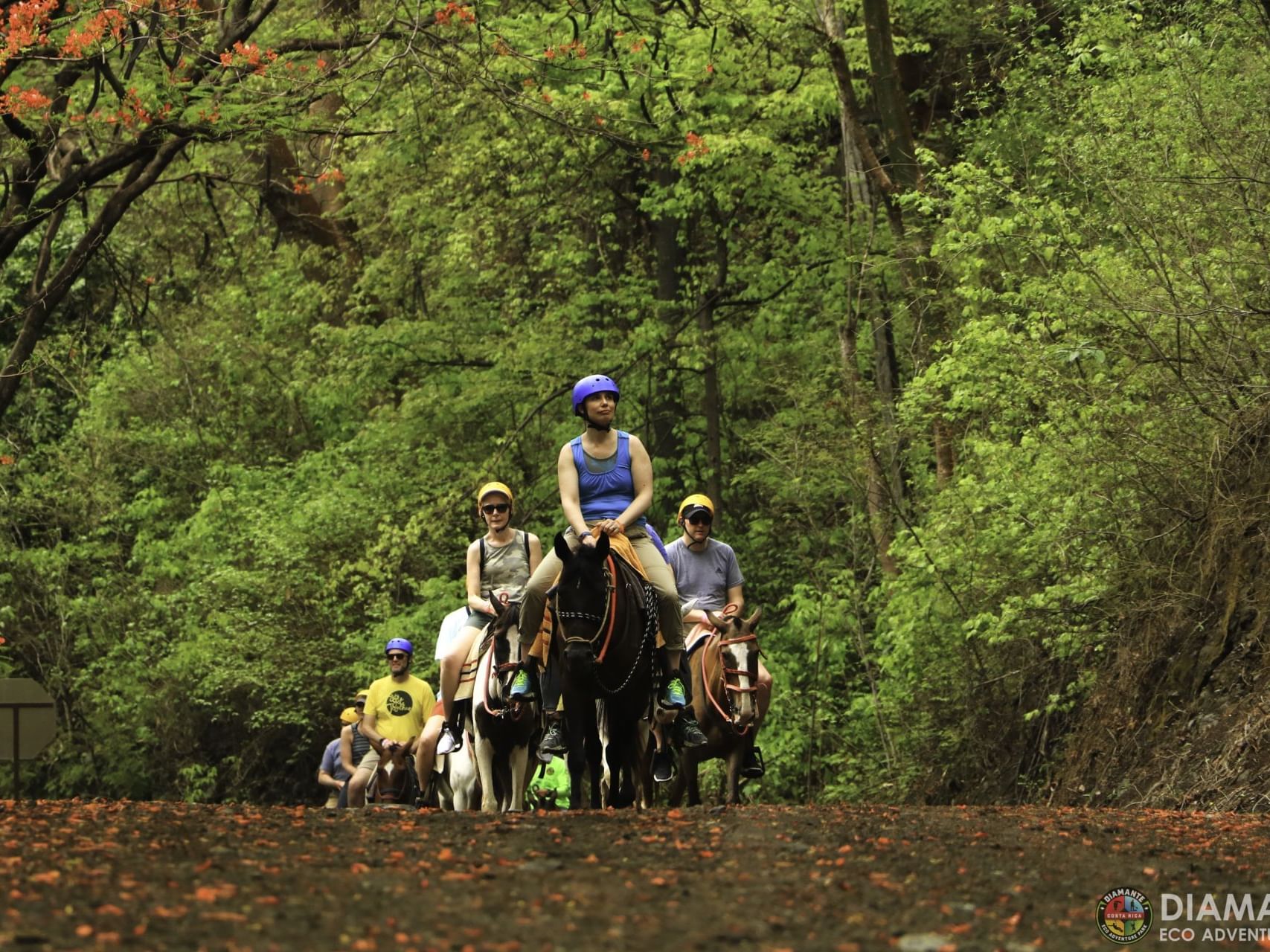 People riding horses in Diamante Adventure Park near Villas Sol Beach Resort