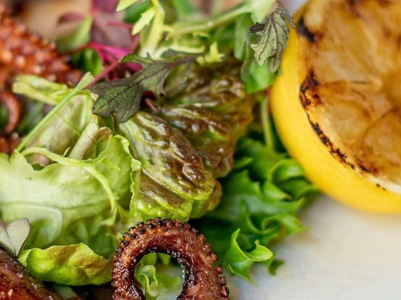Close-up of a salad on a plate at The Flame restaurant in Ananea Madivaru Maldives
