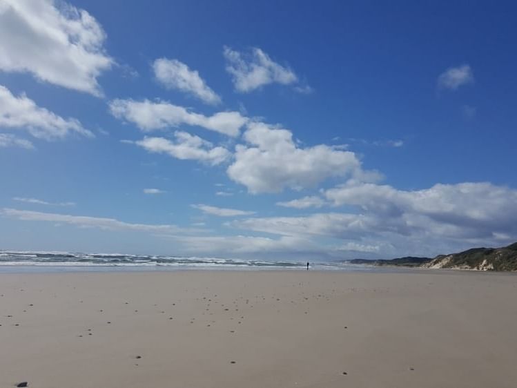 Landscape view of West Coast Beach near Strahan Village Hotel