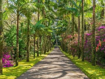 Parque Terra Nostra