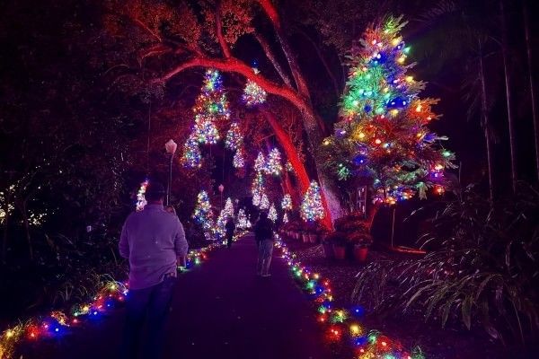 A nighttime outdoor pathway decorated with suspended colorful Christmas trees at Dazzling Nights in Orlando.