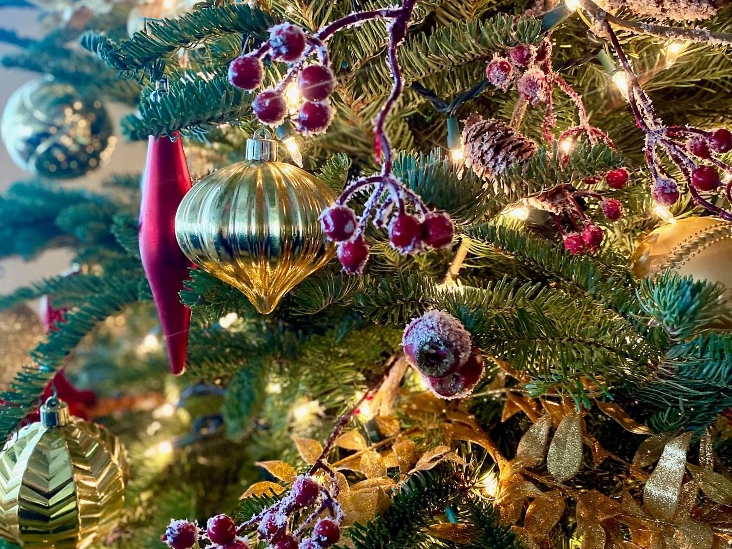 Christmas Tree & Holiday Decorations