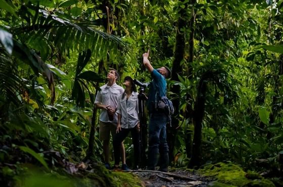 A couple on a guided tour in the forests near Rio Celeste