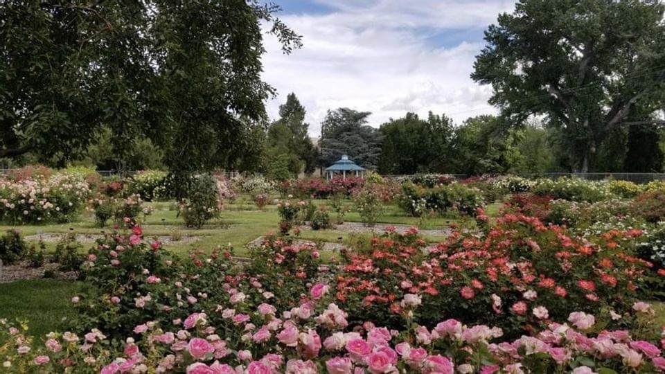 Rose Garden in Idlewood Park near Legacy Vacation Resorts
