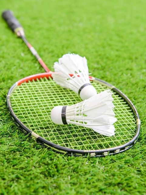 Close-up of shuttle cocks laying on a badminton racket at Cove Pocono Resorts