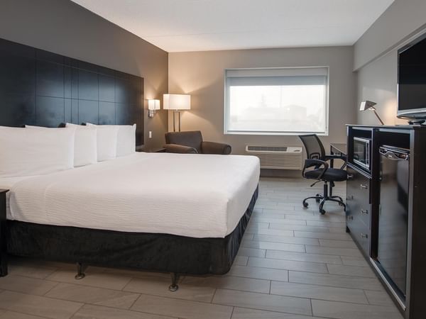 King bed, desk, TV, and window in a pet friendly room.