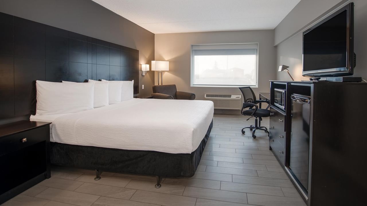 King bed, desk, TV, and window in a pet friendly room.