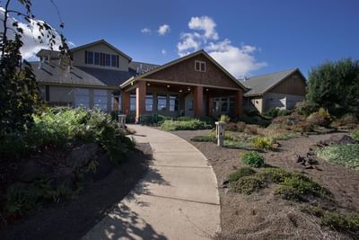 Sidewalk leading to building