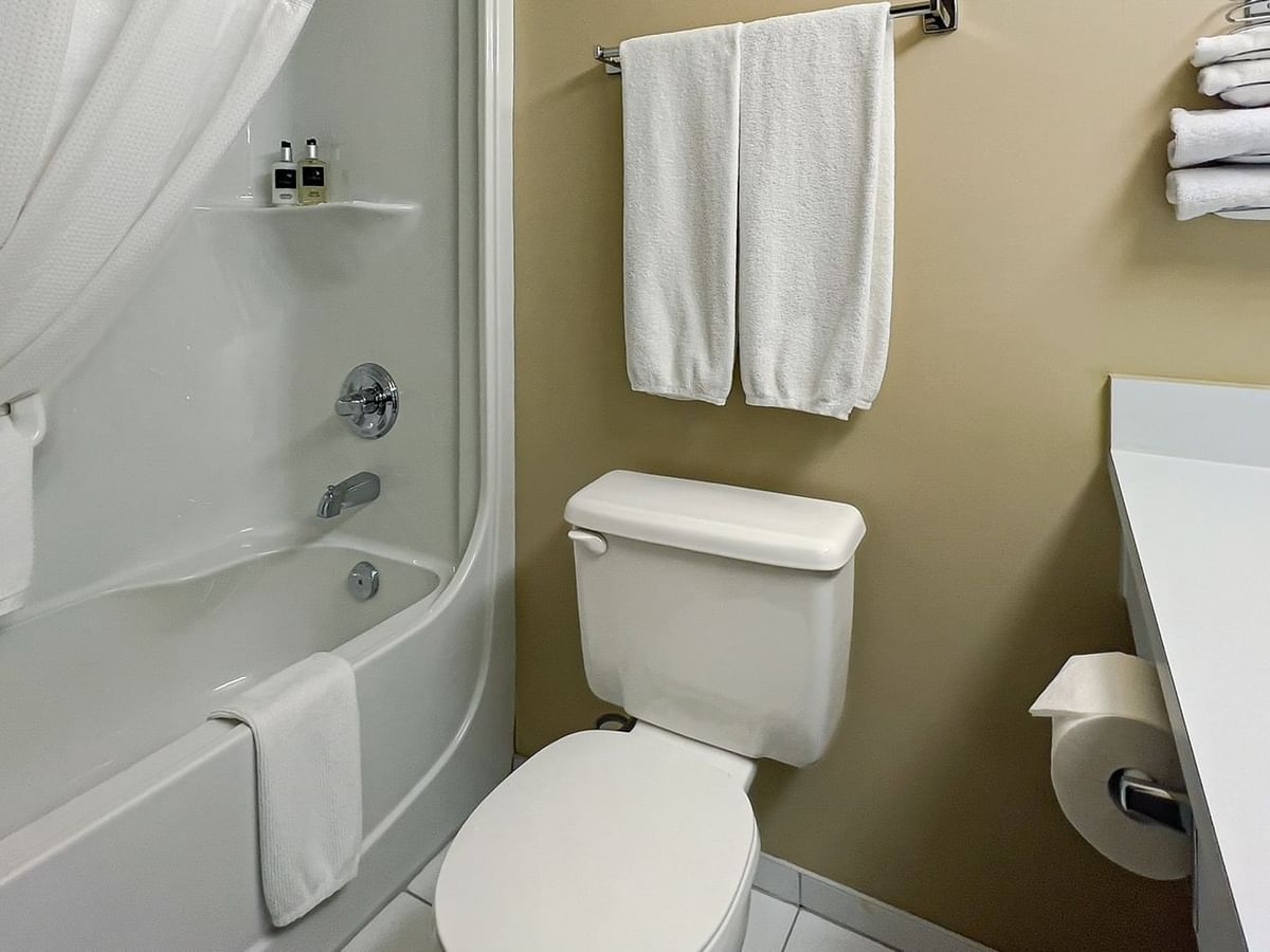 bathroom with toilet, bath tub, towels, and soap