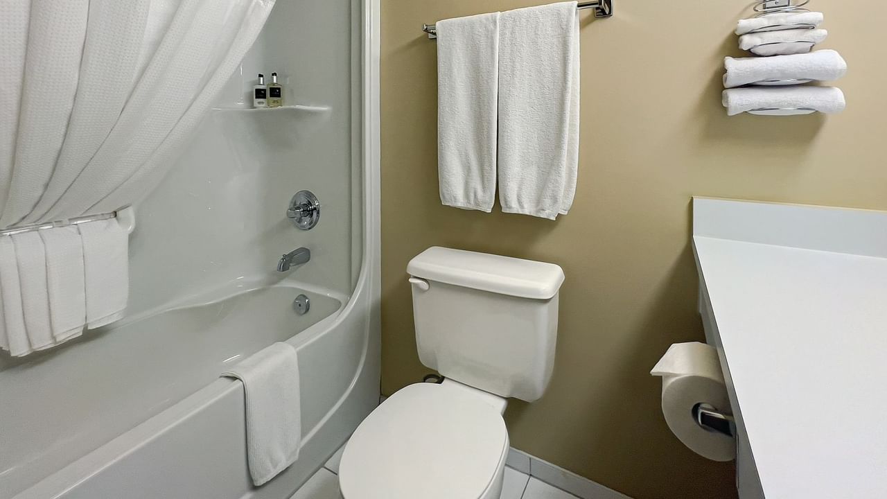bathroom with toilet, bath tub, towels, and soap