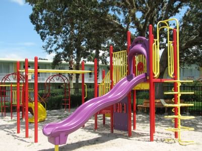 Brightly colored playground with slides and monkey bars