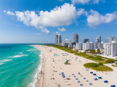 Distance view of the beach with lounge chairs & city view at The Savoy Hotel & Beach Club