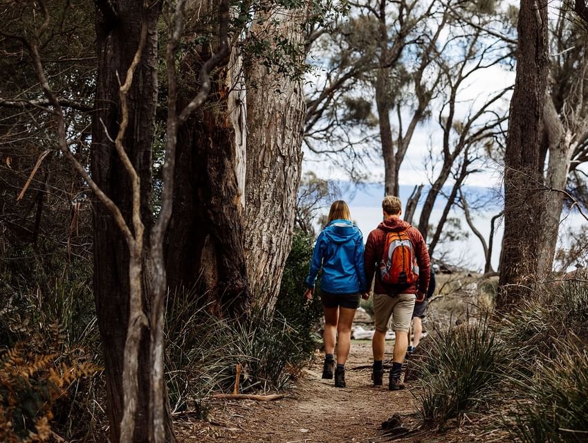 Couple on a hiking trail in the woods near Freycinet Lodge