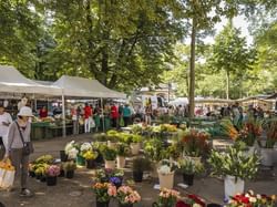 Stalls in Burkliplatz Market near Hotel Sternen Oerlikon