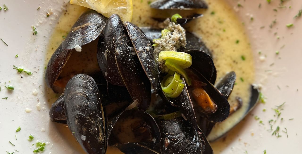 Mussels