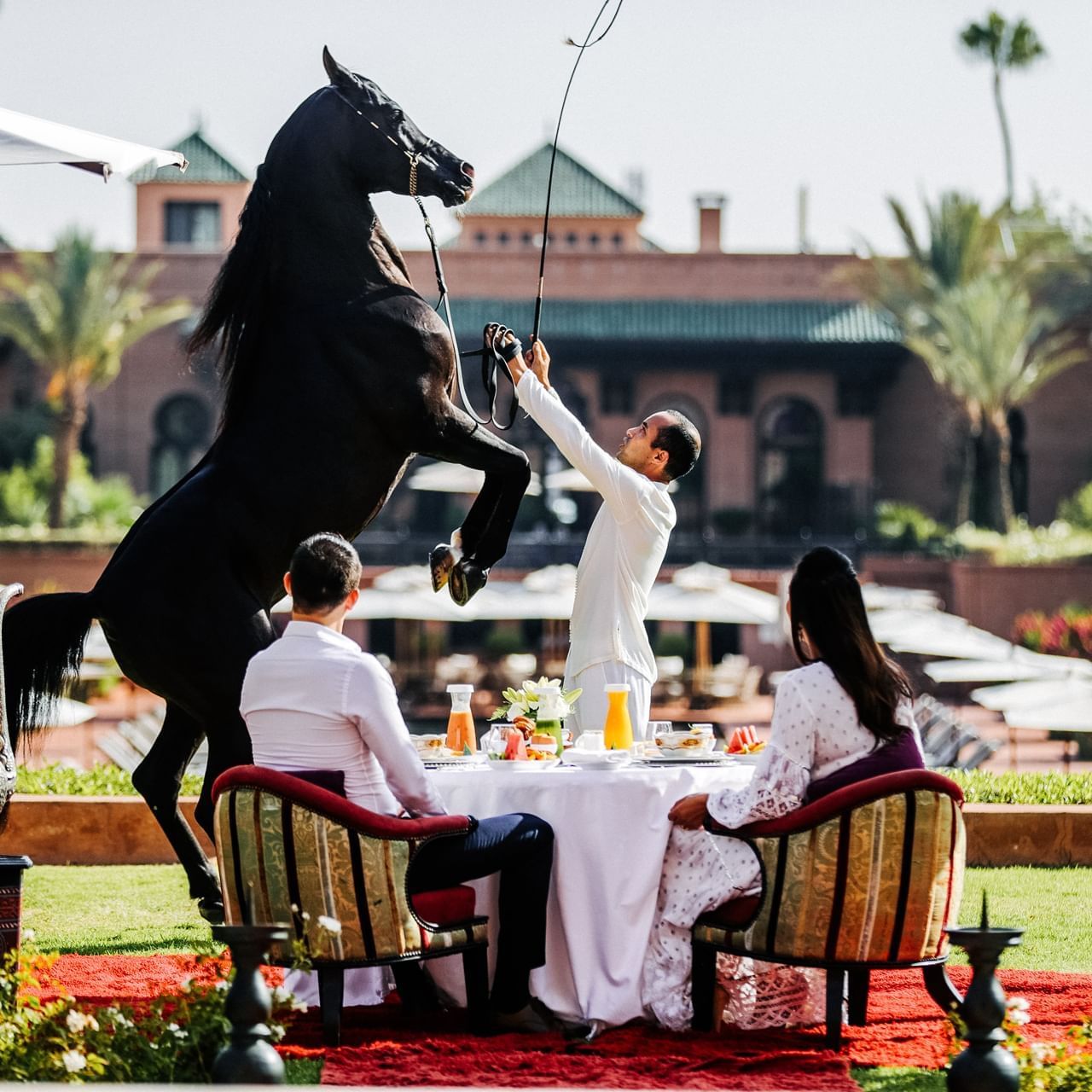 A couple enjoying lunch while watching horses, Selman Marrakech