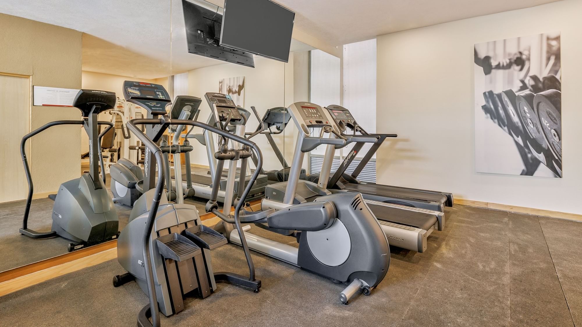 Fi Centro Historico 2024 (6)