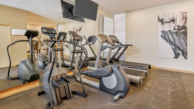 Fi Centro Historico 2024 (6)