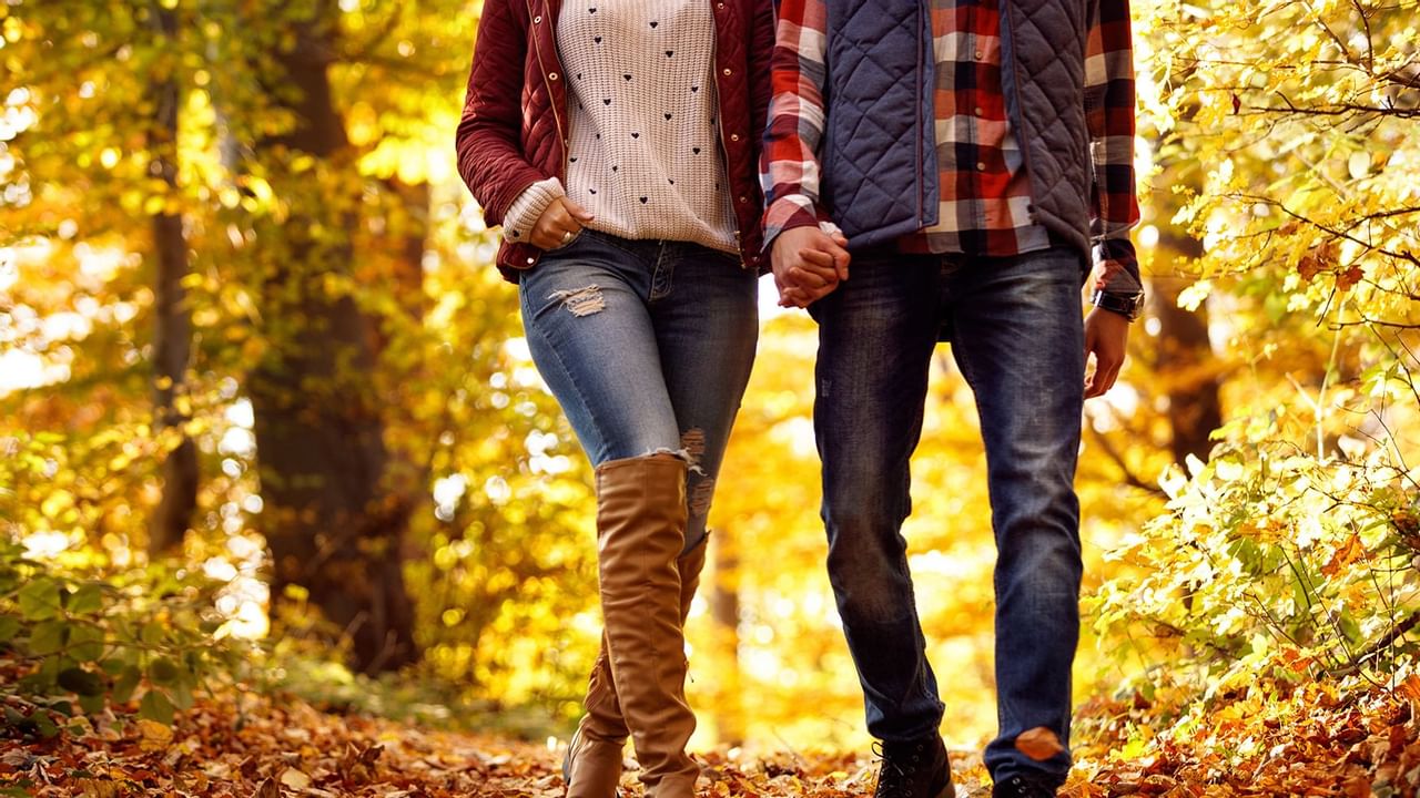Couple holding hands during autumn