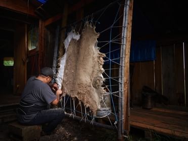 Man tanning fur featuring things to do in Fort McMurray in Heritage Village near Merit Hotel & Suites