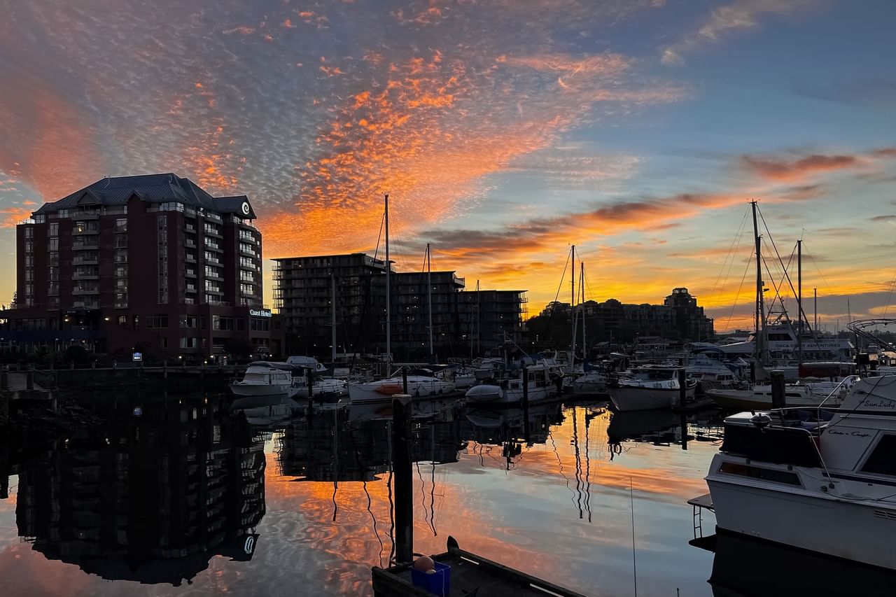 Coast Victoria marina