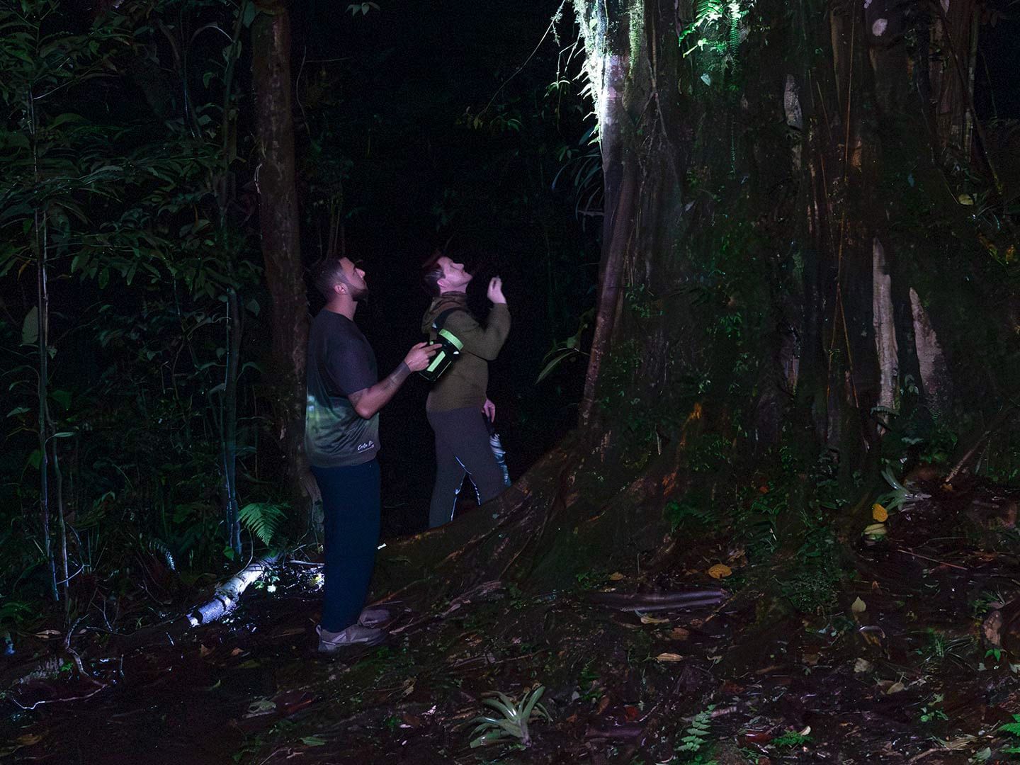 Two people with flashlights in a dark, dense forest by night at El Silencio Lodge and Spa