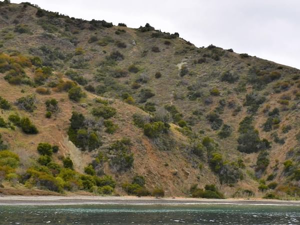 View of Cabrillo Beach with mountains and lush green trees near Catalina Island luxury hotels