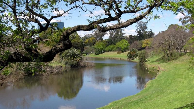 PARRAMATTA PARKPARRAMATTA PARK