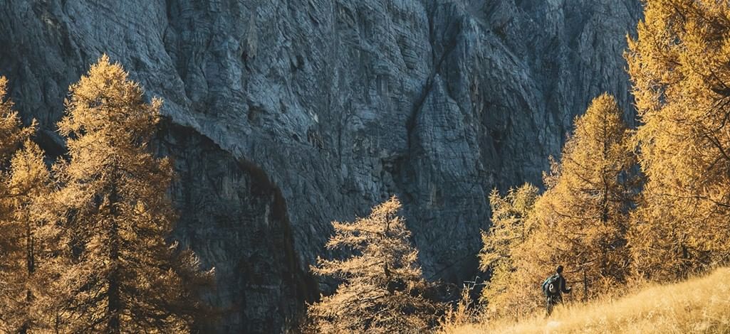 A person goes on a larch hike near Canmore, Alberta surrounded by mountains.