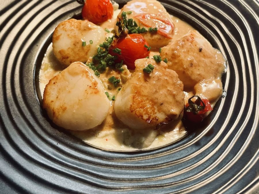 Seared scallops served in a restaurant at The Originals Hotels