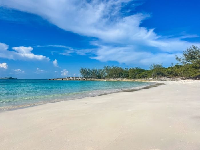 White sand by turquoise water under a blue sky surrounding tropical trees near Warwick Paradise Island Bahamas