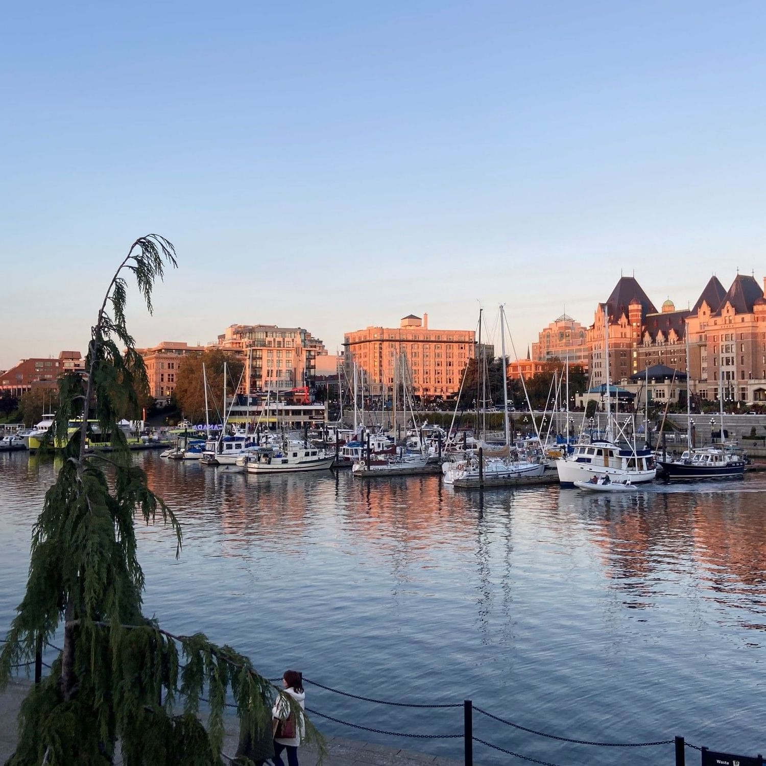 See The City of Gardens, Victoria, B.C. | Rediscover Canada, image size:1500x1500