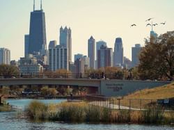 Landscape view of Lincoln Park Zoo near The Whitehall Hotel