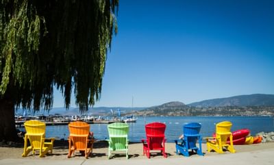 Colorful chairs facing the beach near Manteo Resort Waterfront