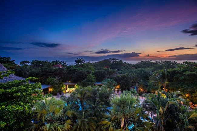Stunning purple sunset view over the lush tropical canopy and pool area near Cala Luna Boutique Hotel