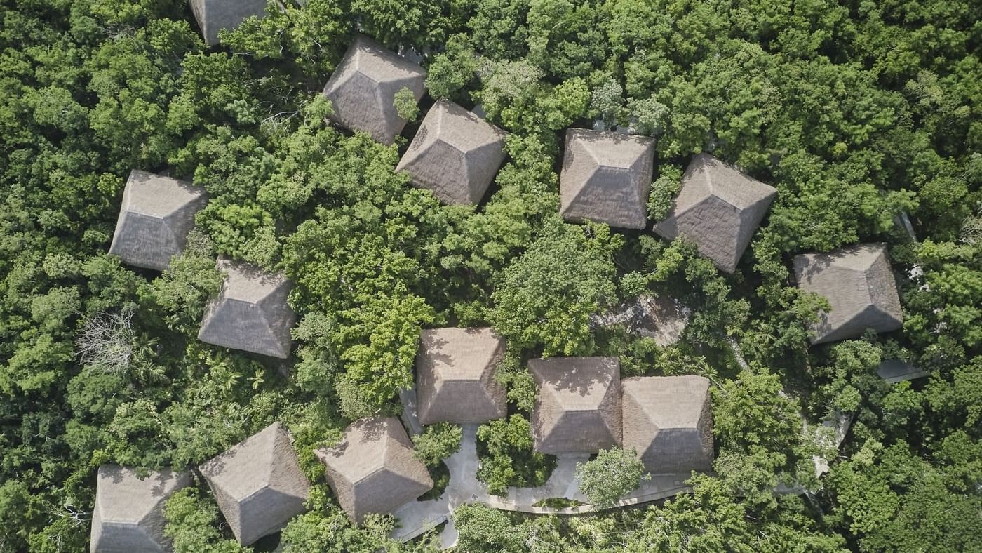 Aerial view of the Hotel surrounded by trees at The Explorean Kohunlich