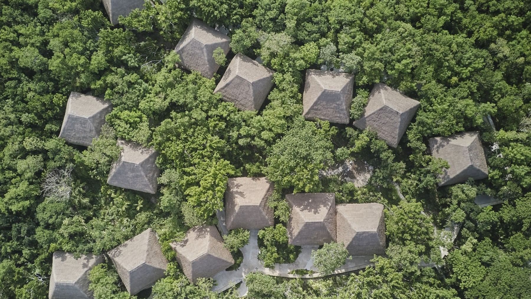 Aerial view of the Hotel surrounded by trees at The Explorean Kohunlich