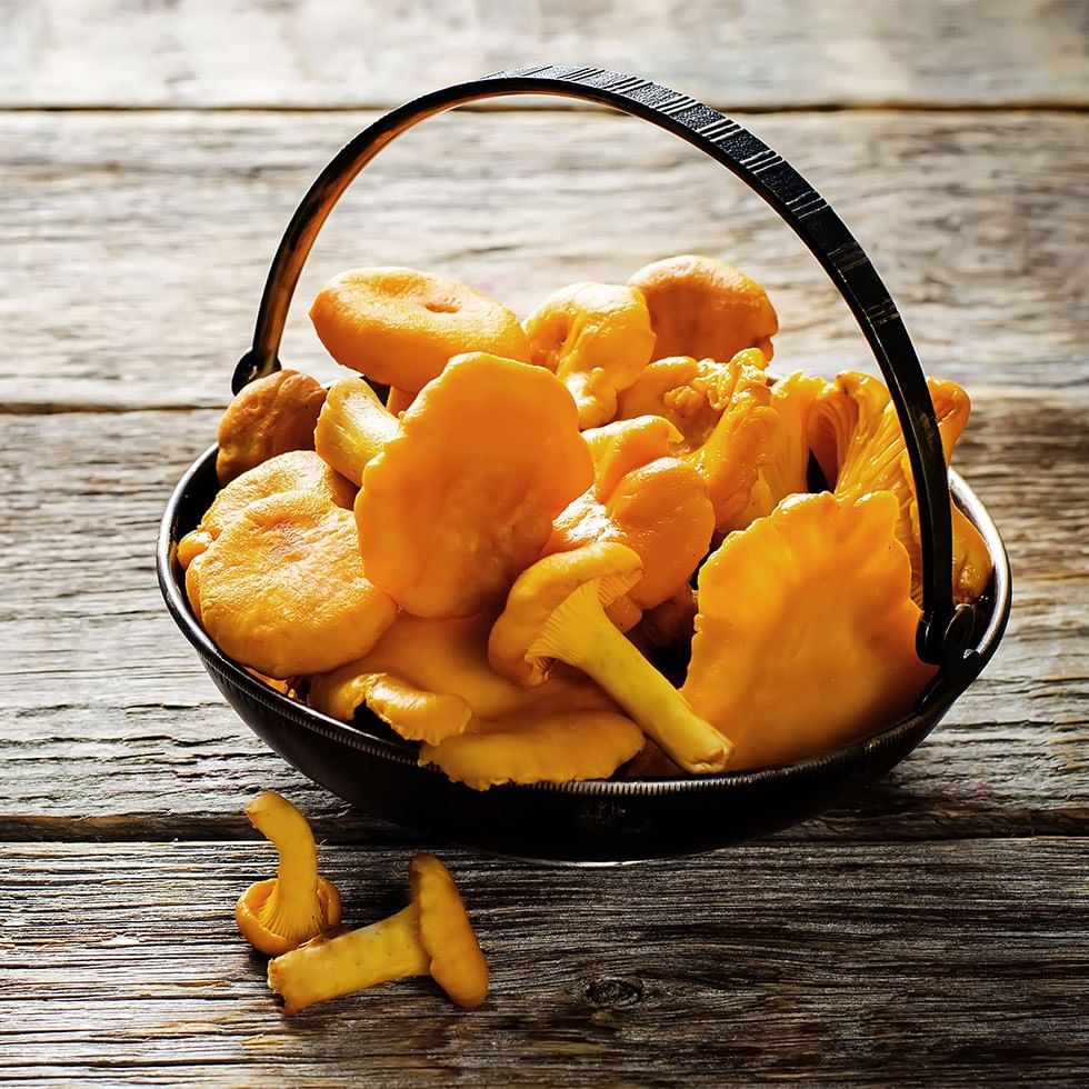 A black basket filled with yellow chanterelle mushrooms on a wooden surface with two mushrooms on the side.