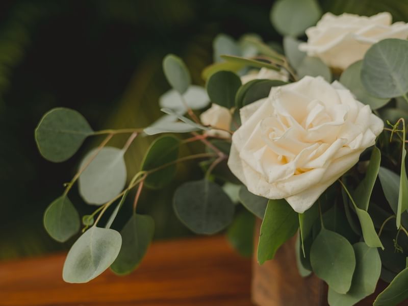 White rose and green eucalyptus in a wooden vase at Riviera Nayarit Resort & Spa.
